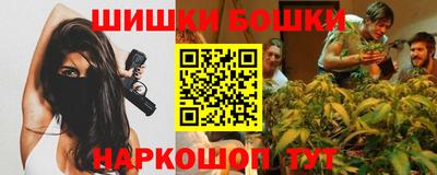 прущие грибы Кандалакша