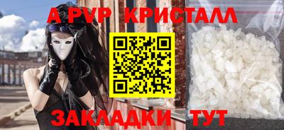 прущие грибы Кандалакша