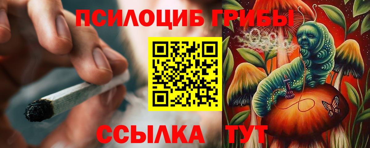 Псилоцибиновые грибы мицелий  Псилоцибиновые грибы Psilocybe  купить закладку  Красноярск  Вход с VPN 
